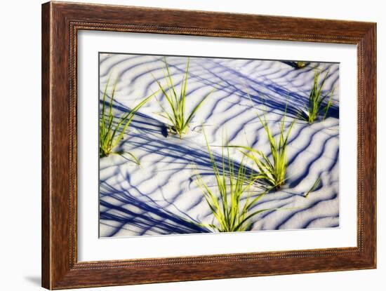 Waves of Sand II-Alan Hausenflock-Framed Photographic Print