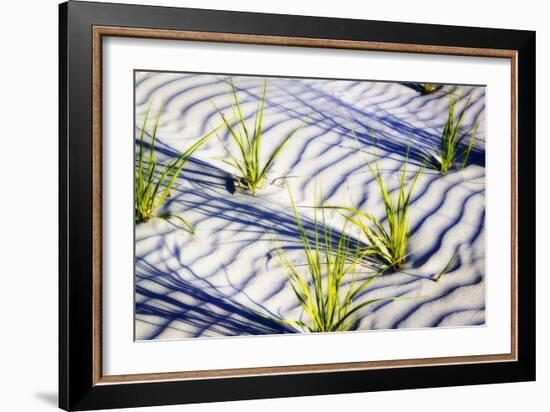 Waves of Sand II-Alan Hausenflock-Framed Photographic Print