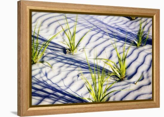 Waves of Sand II-Alan Hausenflock-Framed Premier Image Canvas