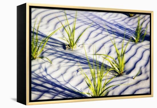 Waves of Sand II-Alan Hausenflock-Framed Premier Image Canvas