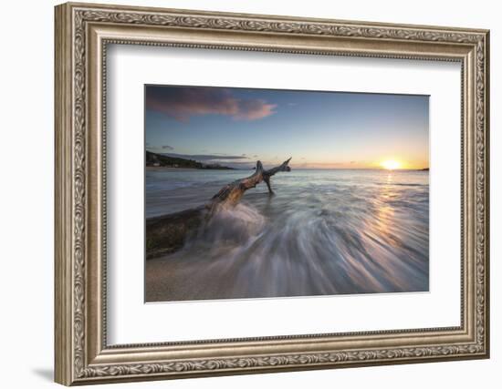 Waves on a Tree Trunk on the Beach Framed by the Caribbean Sunset, Hawksbill Bay, Antigua-Roberto Moiola-Framed Photographic Print
