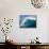 Waves Splashing in the Sea-null-Mounted Photographic Print displayed on a wall