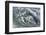 Waves-WizData-Framed Photographic Print