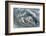 Waves-WizData-Framed Photographic Print