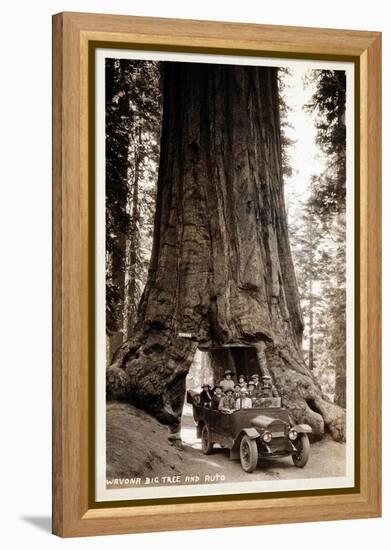 Wawona Big Tree and Auto, 1919-null-Framed Premier Image Canvas