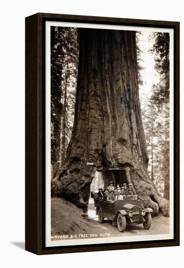 Wawona Big Tree and Auto, 1919-null-Framed Premier Image Canvas