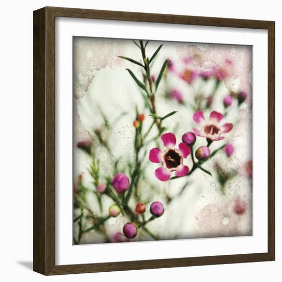 Wax Flower I-James Guilliam-Framed Giclee Print