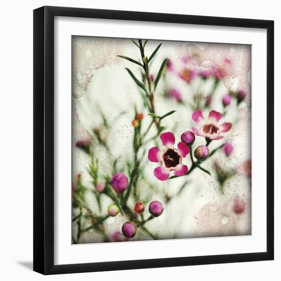 Wax Flower I-James Guilliam-Framed Giclee Print