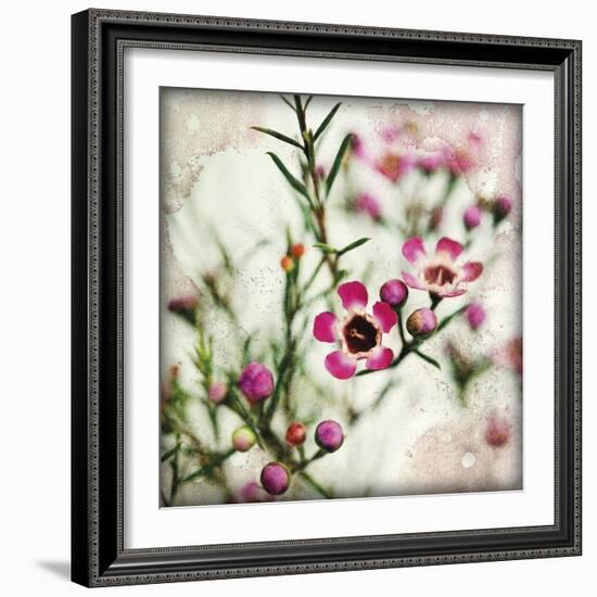 Wax Flower I-James Guilliam-Framed Giclee Print