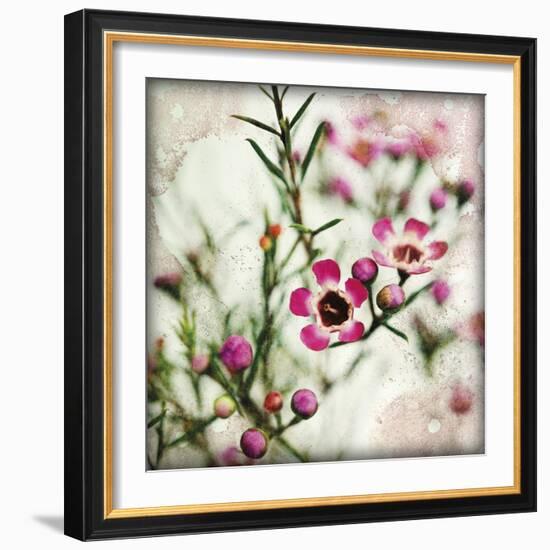 Wax Flower I-James Guilliam-Framed Giclee Print