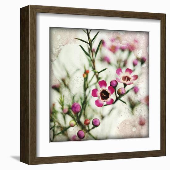 Wax Flower I-James Guilliam-Framed Giclee Print