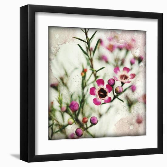 Wax Flower I-James Guilliam-Framed Giclee Print