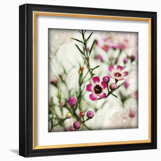 Wax Flower I-James Guilliam-Framed Giclee Print