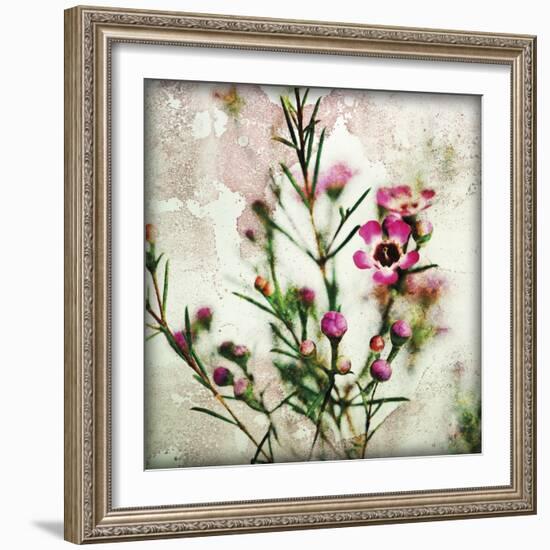 Wax Flower II-James Guilliam-Framed Giclee Print