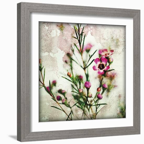 Wax Flower II-James Guilliam-Framed Giclee Print