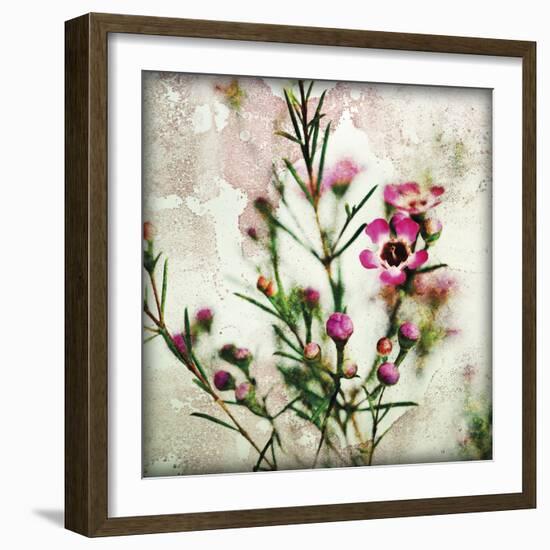 Wax Flower II-James Guilliam-Framed Giclee Print