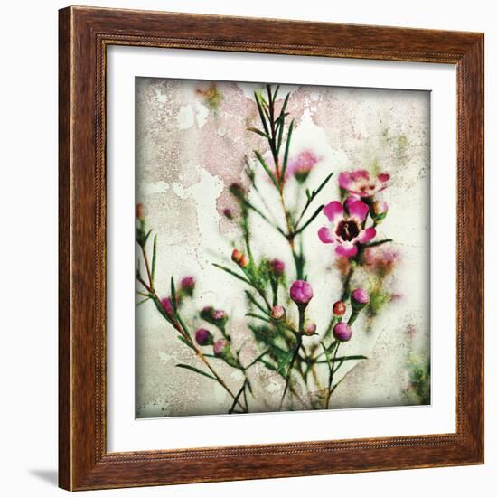 Wax Flower II-James Guilliam-Framed Giclee Print