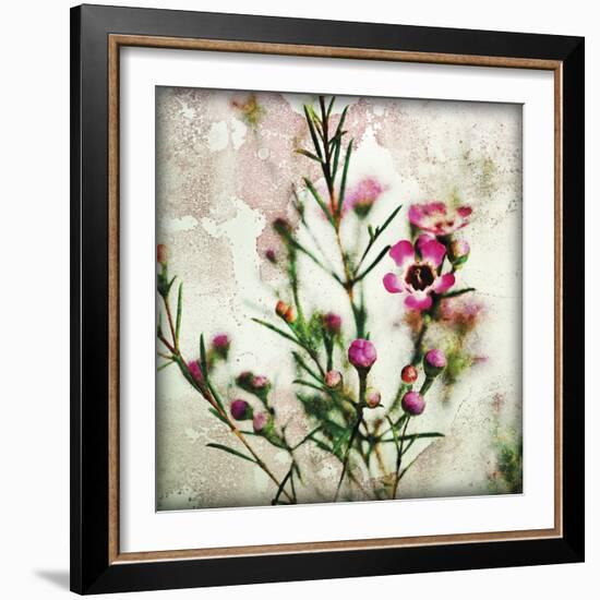 Wax Flower II-James Guilliam-Framed Giclee Print