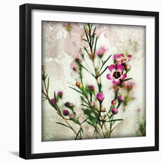 Wax Flower II-James Guilliam-Framed Giclee Print