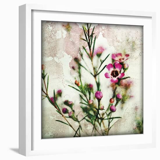 Wax Flower II-James Guilliam-Framed Giclee Print