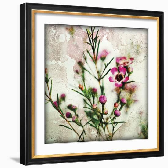 Wax Flower II-James Guilliam-Framed Giclee Print