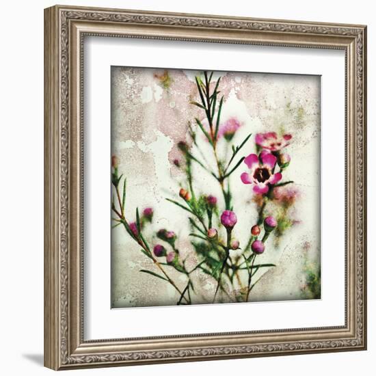 Wax Flower II-James Guilliam-Framed Giclee Print