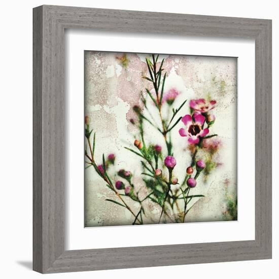 Wax Flower II-James Guilliam-Framed Giclee Print