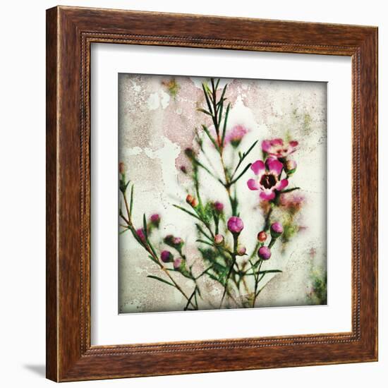 Wax Flower II-James Guilliam-Framed Giclee Print