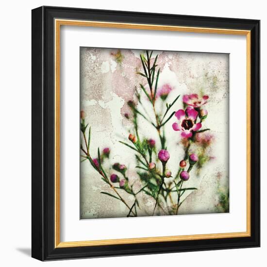 Wax Flower II-James Guilliam-Framed Giclee Print