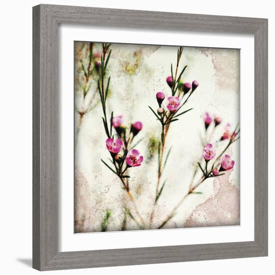 Wax Flower III-James Guilliam-Framed Giclee Print