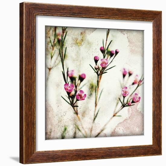 Wax Flower III-James Guilliam-Framed Giclee Print