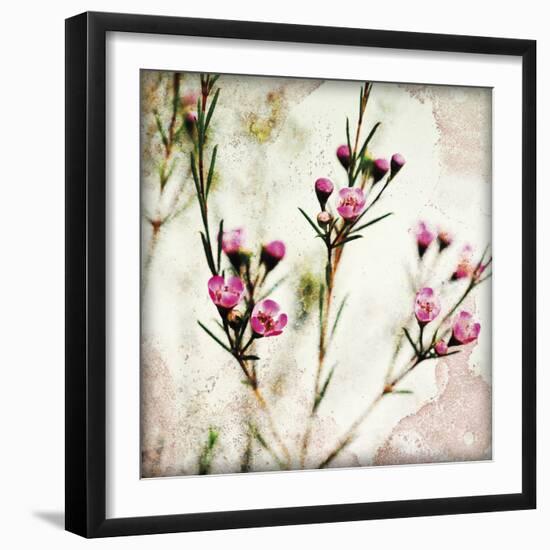 Wax Flower III-James Guilliam-Framed Giclee Print