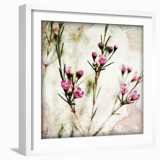 Wax Flower III-James Guilliam-Framed Giclee Print