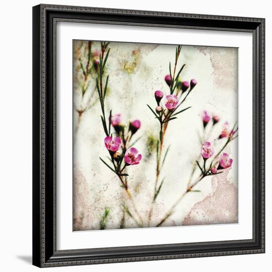 Wax Flower III-James Guilliam-Framed Giclee Print
