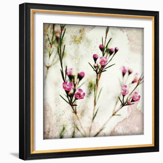 Wax Flower III-James Guilliam-Framed Giclee Print