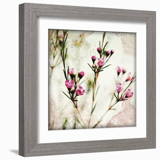 Wax Flower III-James Guilliam-Framed Giclee Print