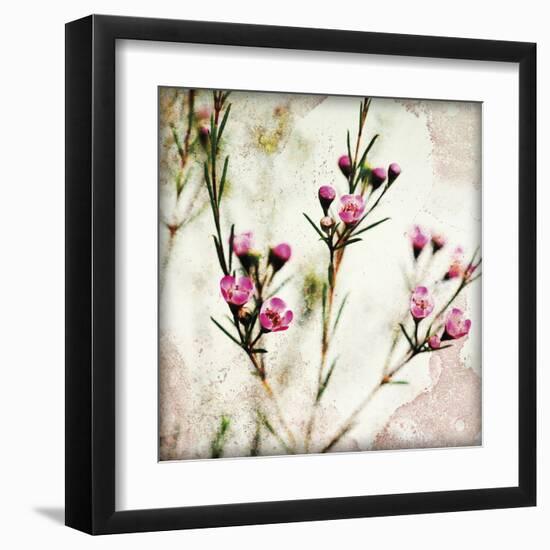 Wax Flower III-James Guilliam-Framed Giclee Print