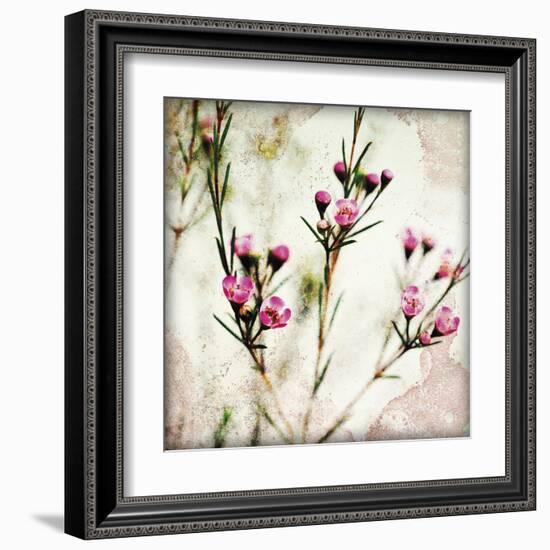 Wax Flower III-James Guilliam-Framed Giclee Print