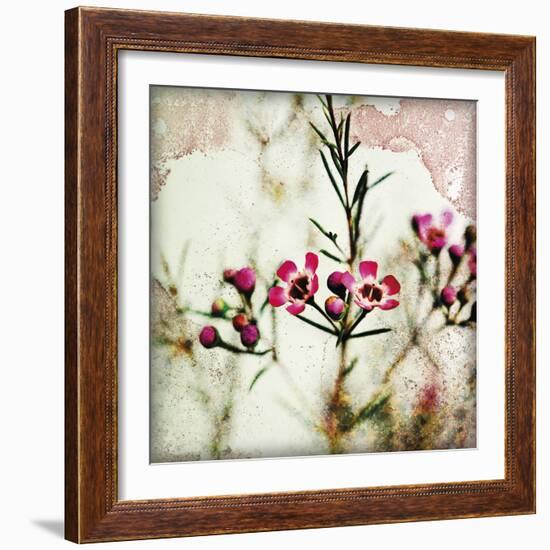 Wax Flower IV-James Guilliam-Framed Giclee Print