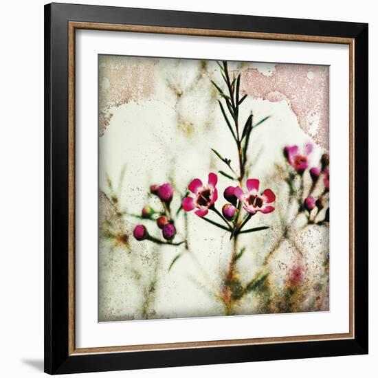 Wax Flower IV-James Guilliam-Framed Giclee Print