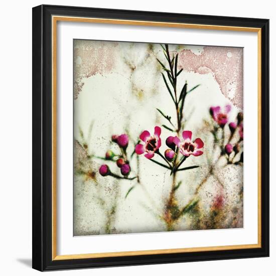 Wax Flower IV-James Guilliam-Framed Giclee Print