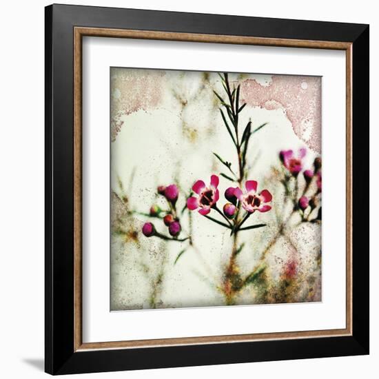 Wax Flower IV-James Guilliam-Framed Giclee Print