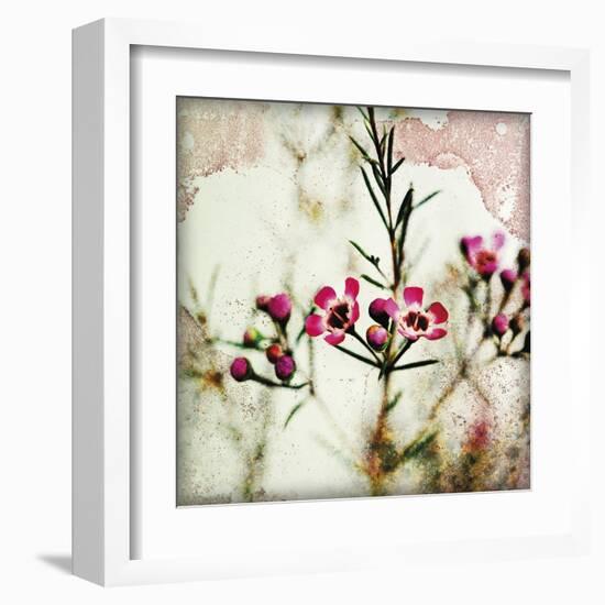 Wax Flower IV-James Guilliam-Framed Giclee Print