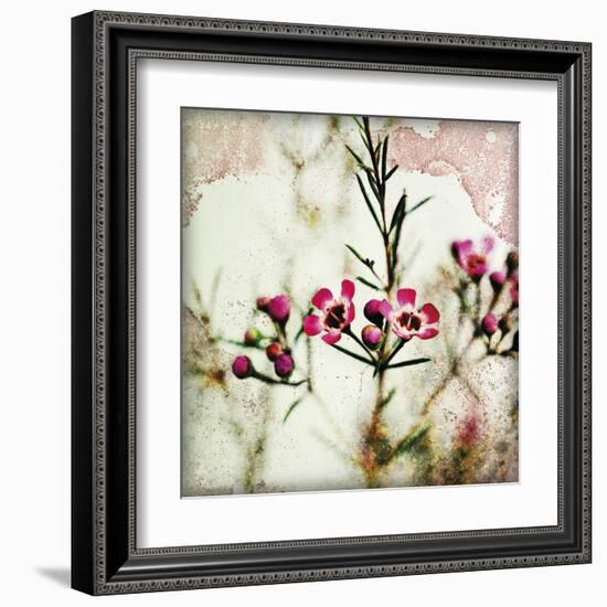 Wax Flower IV-James Guilliam-Framed Giclee Print