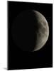 Waxing Crescent Moon-Eckhard Slawik-Mounted Photographic Print