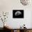 Waxing Gibbous Moon-null-Photographic Print displayed on a wall