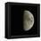 Waxing Gibbous Moon-Eckhard Slawik-Framed Premier Image Canvas
