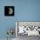 Waxing Gibbous Moon-Eckhard Slawik-Premium Photographic Print displayed on a wall