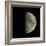 Waxing Gibbous Moon-Eckhard Slawik-Framed Premium Photographic Print