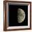 Waxing Gibbous Moon-Eckhard Slawik-Framed Premium Photographic Print